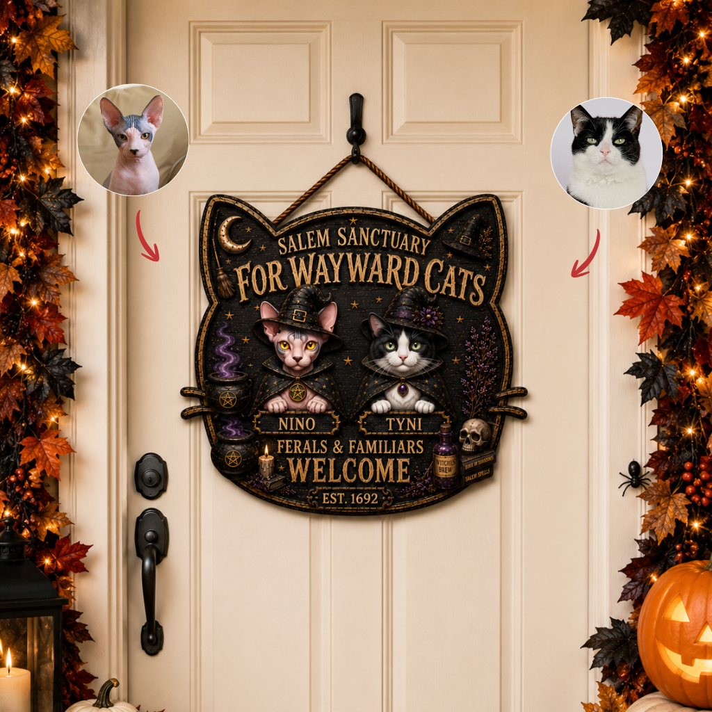 Custom Photo Name Cat Door Hanger, Personalized Cat Wall Decor, Gift for Cat Lovers and Pet Owners hn25082026