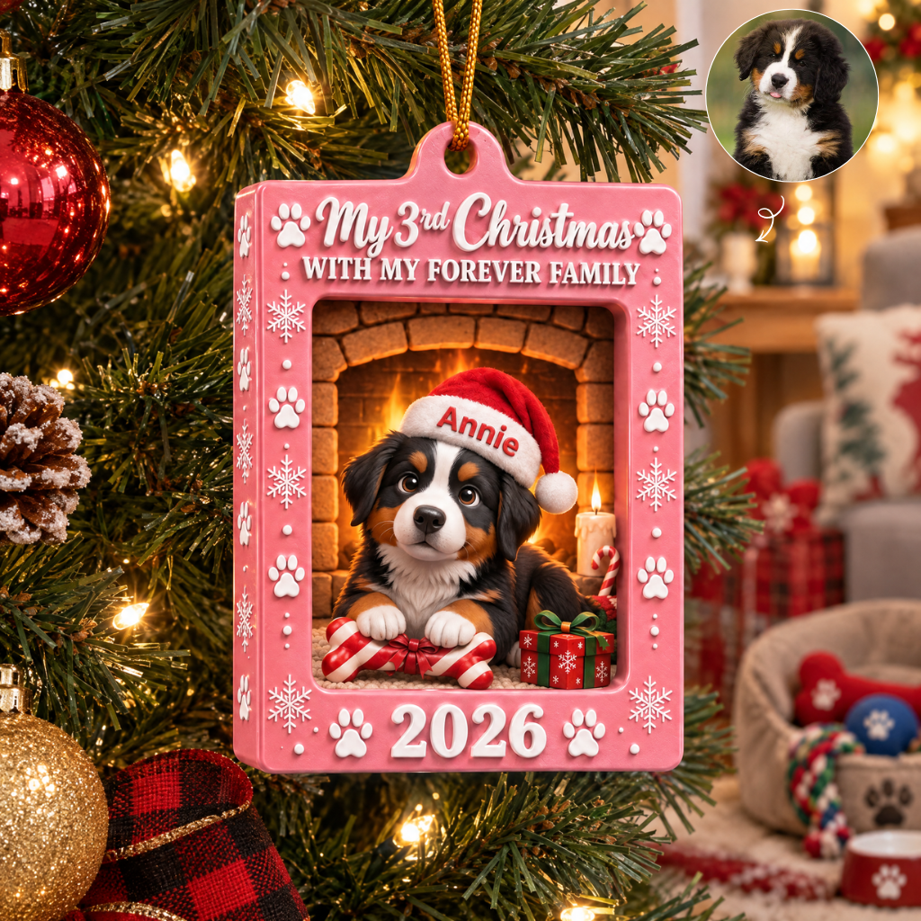Custom Christmas Dog Ornament With Photo and Name, Personalized Pet Holiday Decoration, Gift for Dog Lovers and Pet Parents hn03102026
